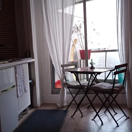 Meublé Vue Tour Eiffel Et Paris Apartamento *